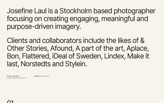 Josefine Laul website preview