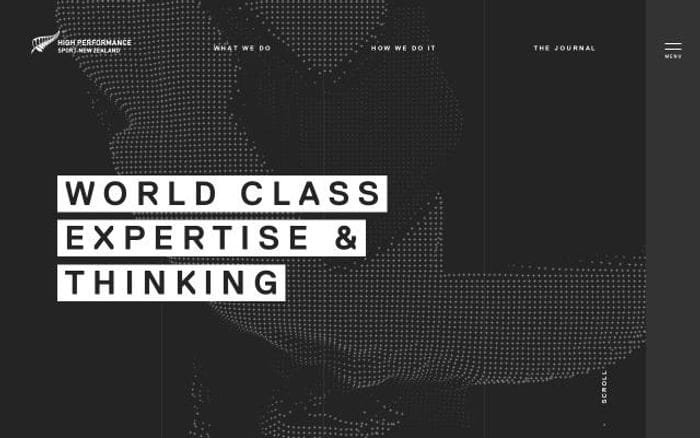 Hpsnz website preview