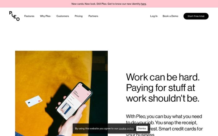 Pleo website preview