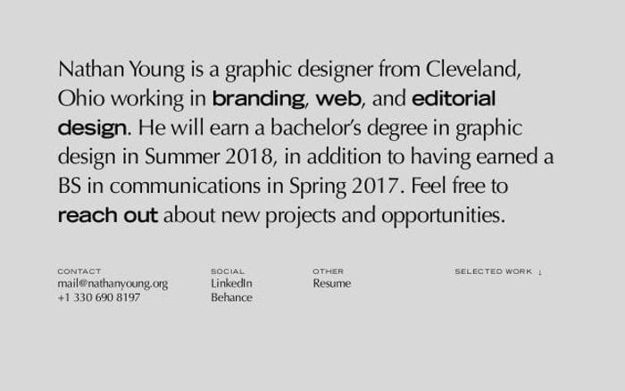 Nathanyoung website preview