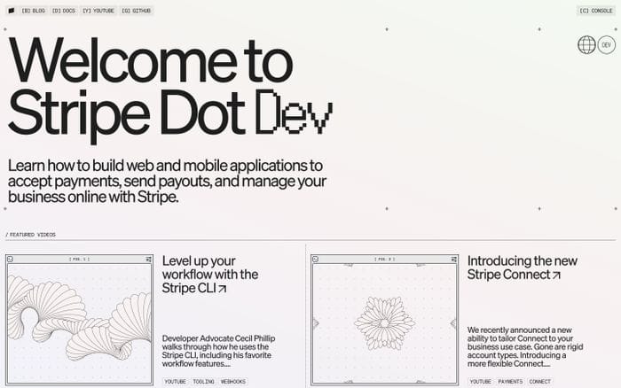 Stripe Dot Dev website preview