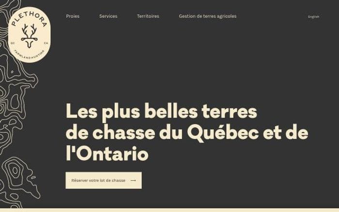 Plethorahunting website preview
