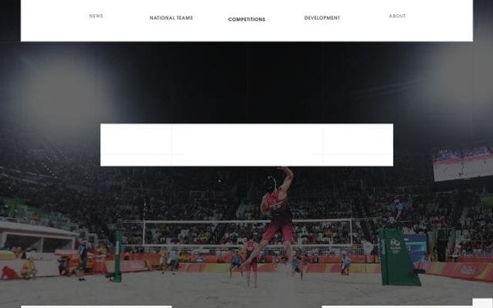 Volleyball website preview
