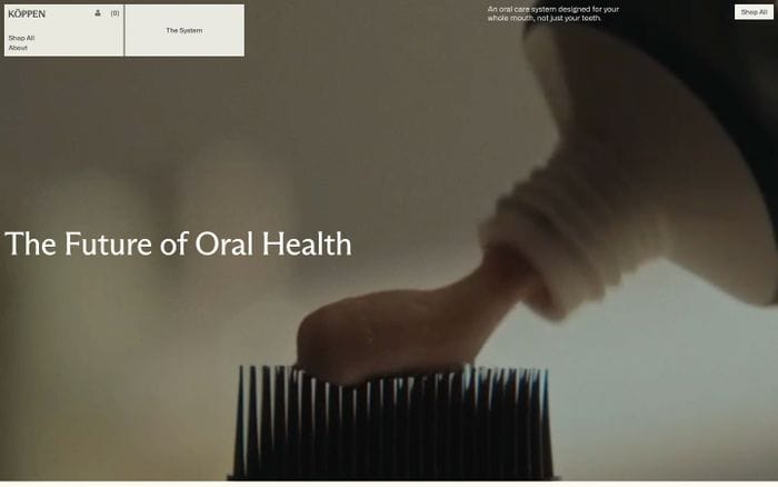 Koppen Oral Health website preview