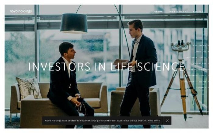 Novoholdings website preview
