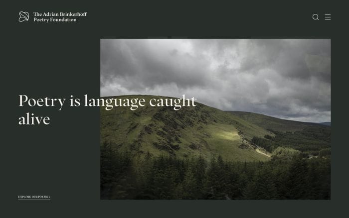 The Adrian Brinkerhoff Foundation website preview