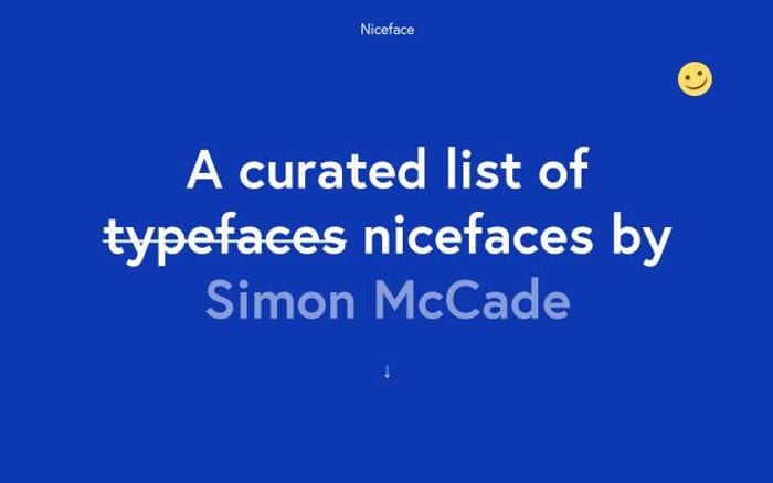 Niceface website preview