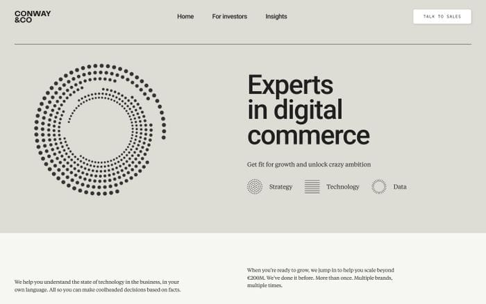 Conway & Co website preview