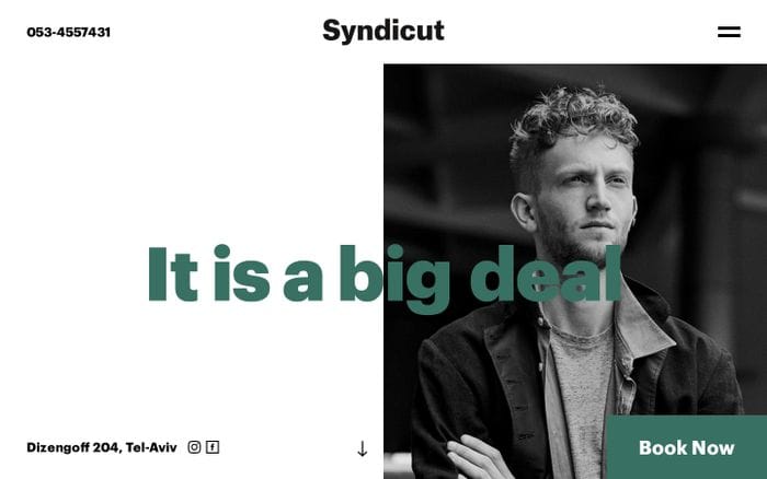 Syndicut website preview