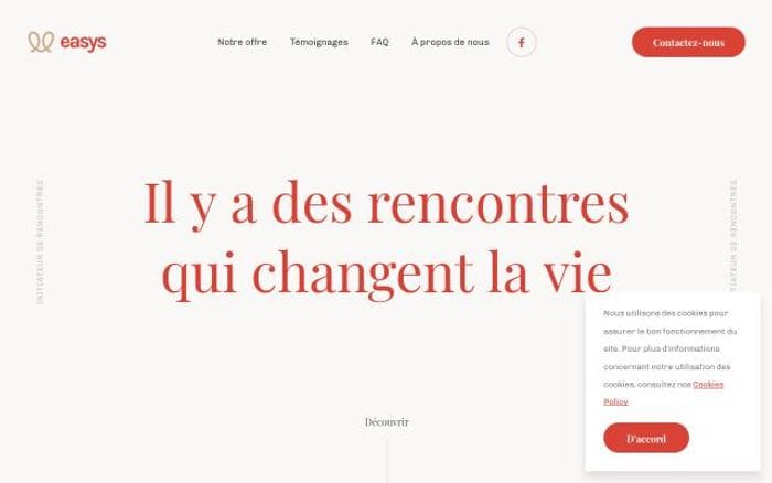 Easys website preview
