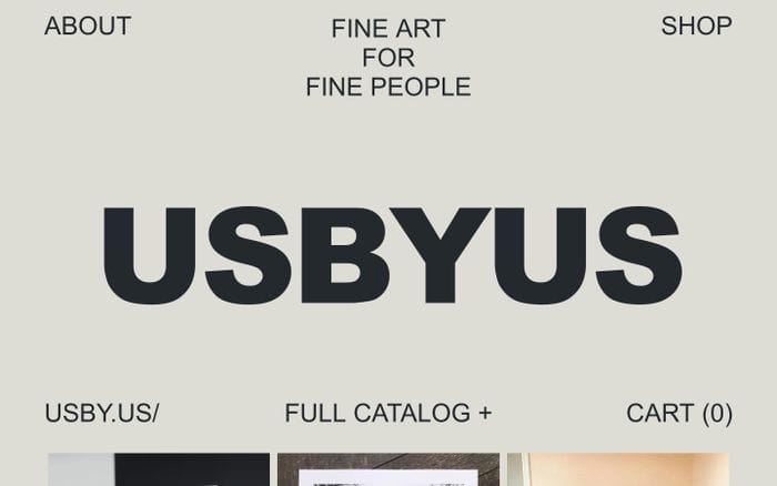 USBYUS website preview