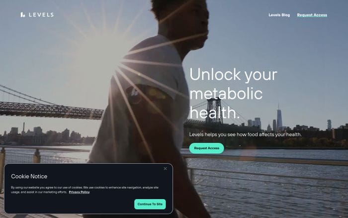 Levels website preview