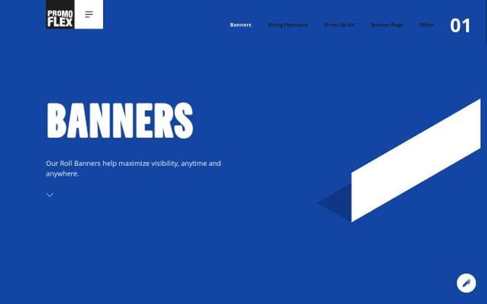 Promoflex website preview
