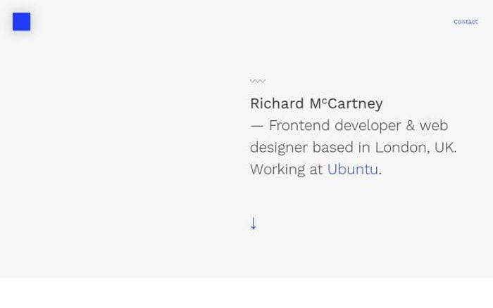 Richardmccartney website preview