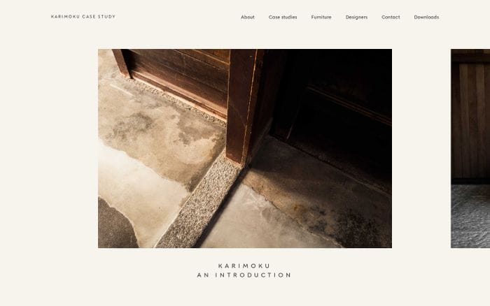 website preview