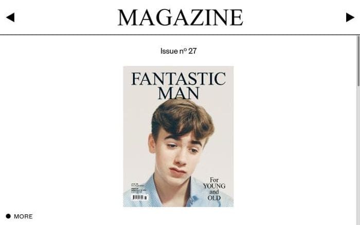 Fantasticman website preview