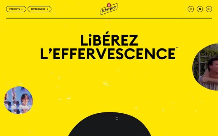 Schweppes website preview