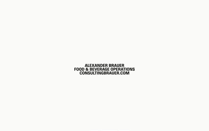Consulting Brauer website preview