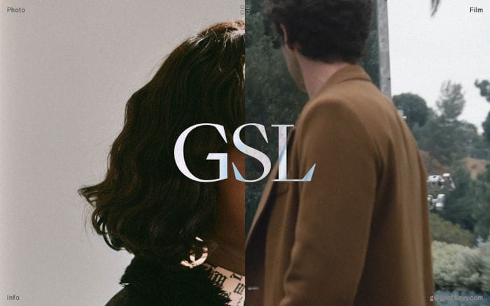 Geoff Levy website preview