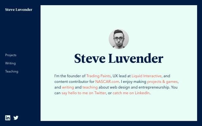 Steveluvender website preview