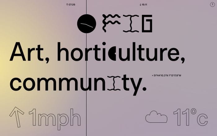 Fig website preview