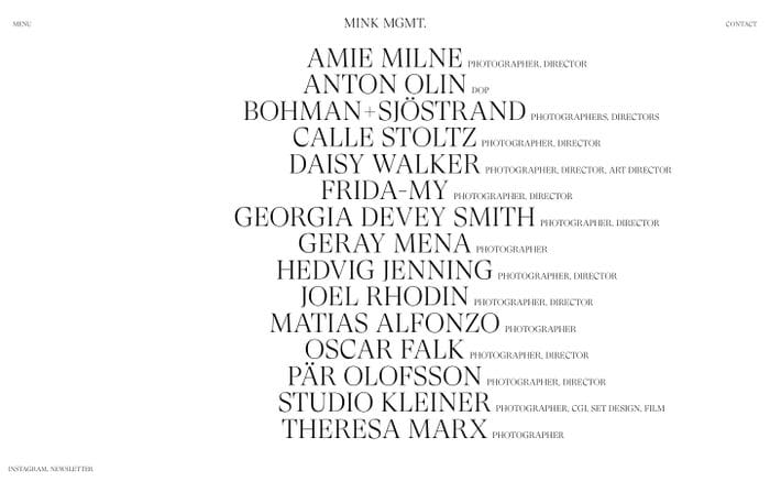 Mink Mgmt website preview