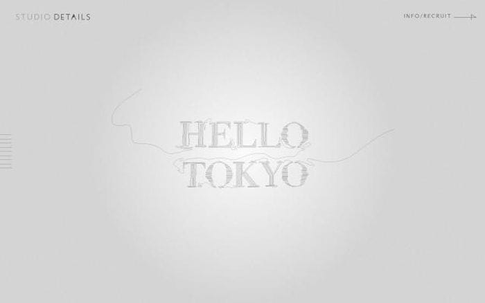 Details website preview
