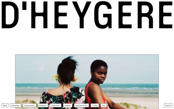 D'heygere website preview
