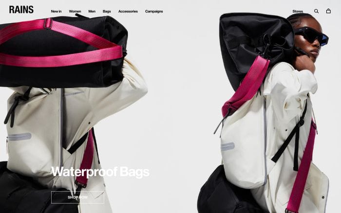 Rains website preview