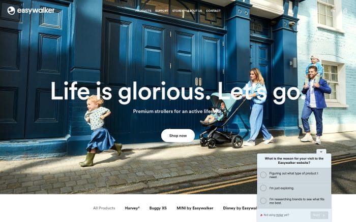  Easywalker website preview