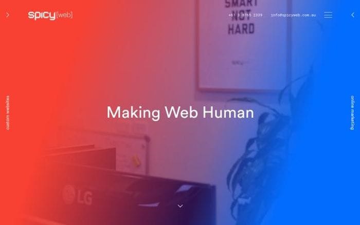 Spicyweb website preview