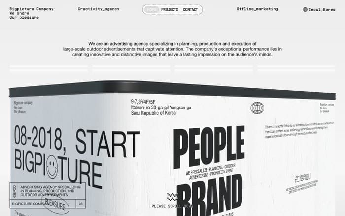 Bigpicture company website preview