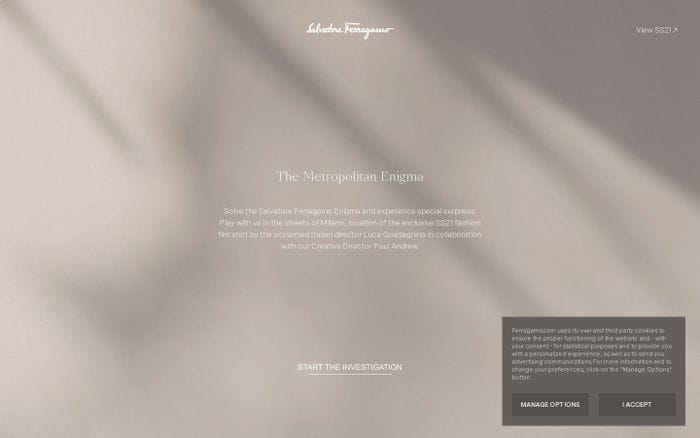 The Metropolitan Enigma by Salvatore Ferragamo website preview