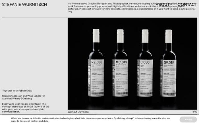 Stefaniewurnitsch website preview