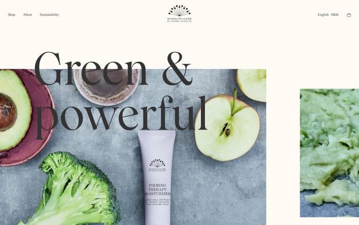 Rudolph Care website preview
