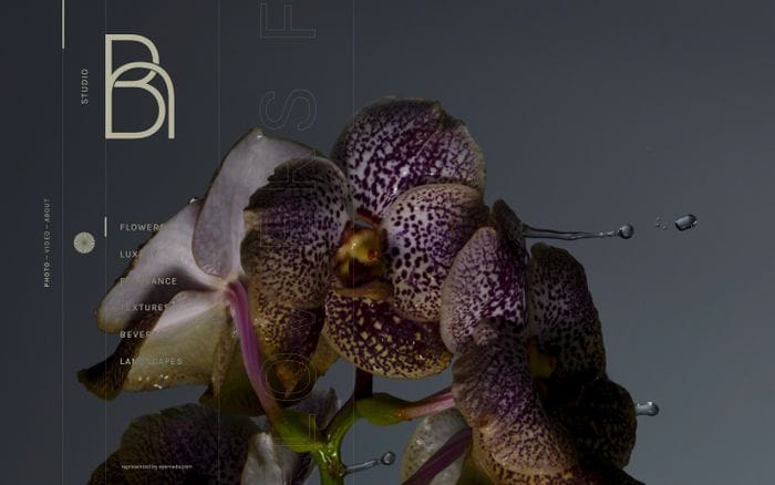 FLOWERS website preview