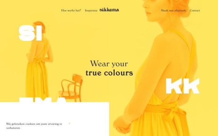 Sikkema website preview