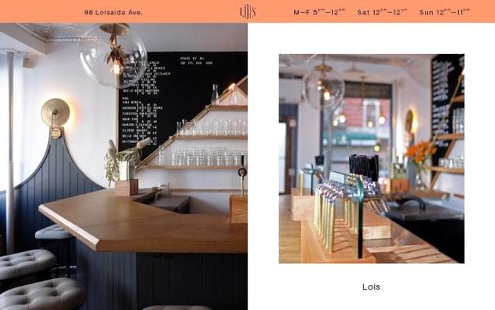 Loisbarnyc website preview