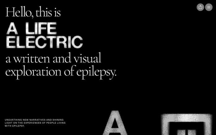 A Life Electric website preview