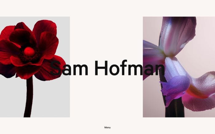 Sam Hofman website preview