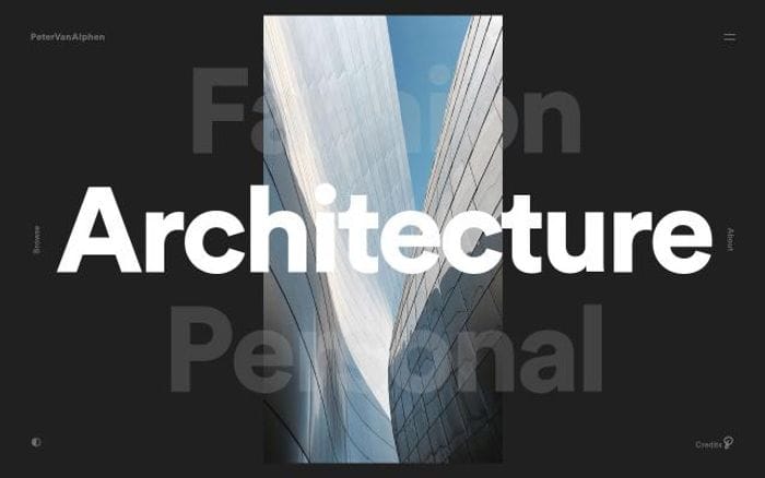 Petervanalphen website preview