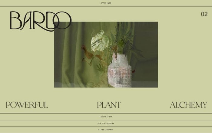Bardo labs website preview