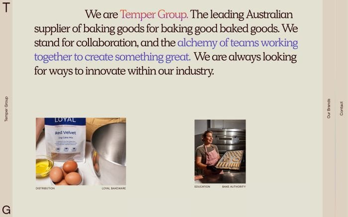 Temper Group website preview