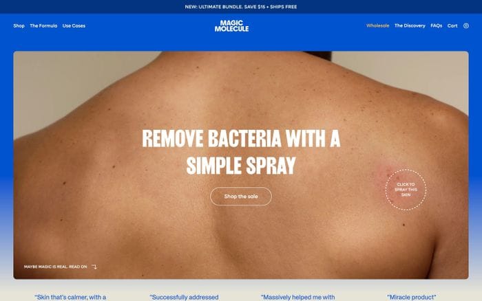 Magic Molecule website preview