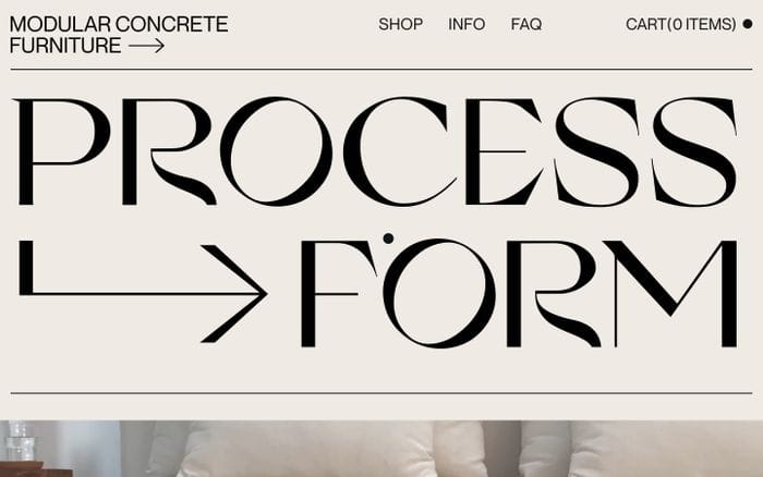 Process Form website preview