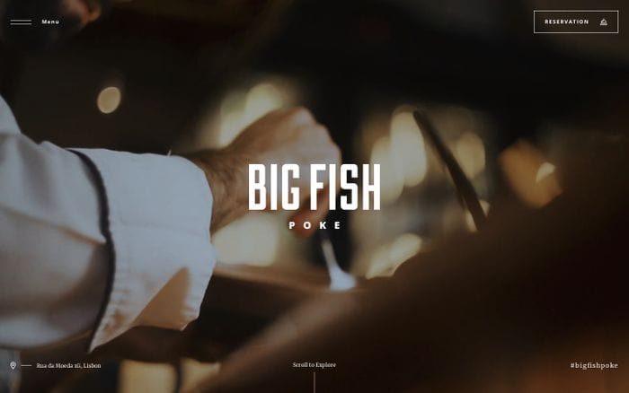Big Fish Poke website preview