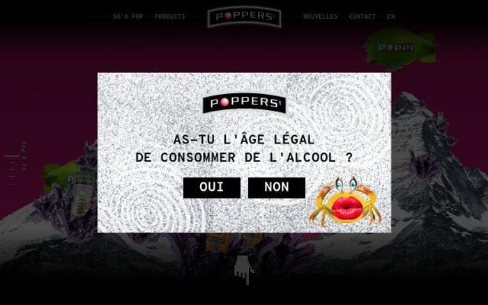 Popperscoolers website preview