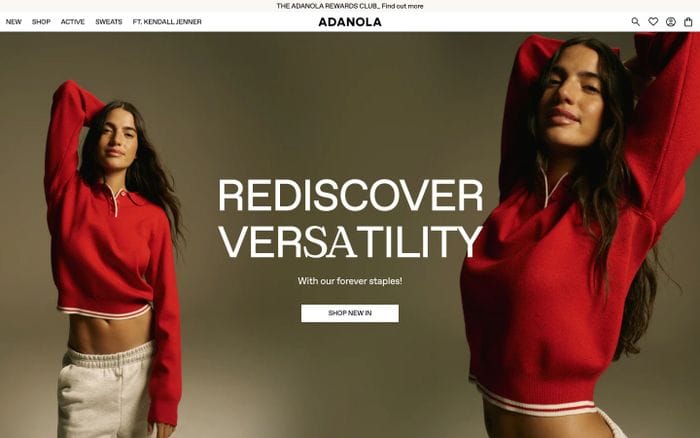 Adanola website preview