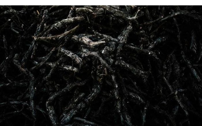 Mattmorriswines website preview
