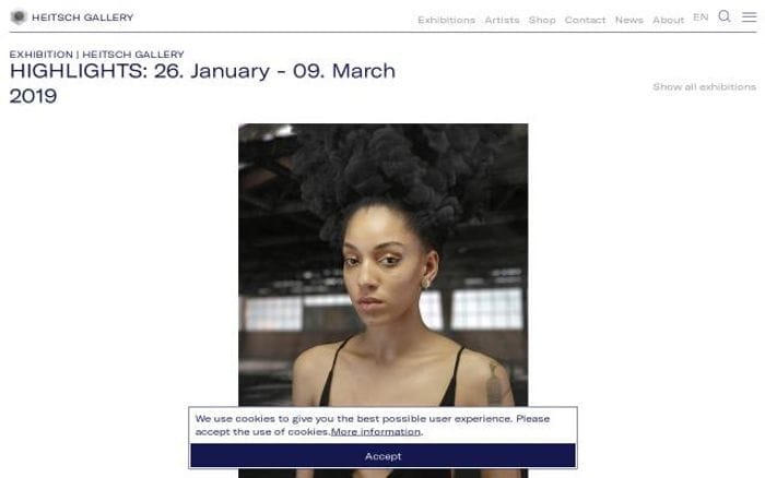Heitschgalerie website preview